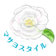 マサヨスタイル